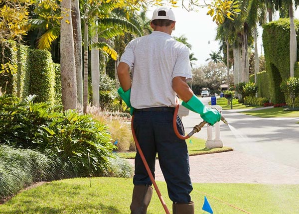 About Clearfield PA Pest Control